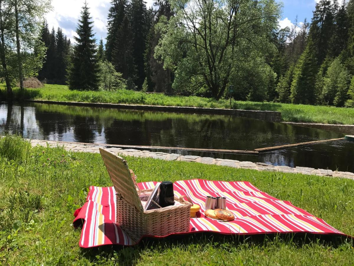 Apartman 12 Stožec Eksteriør billede